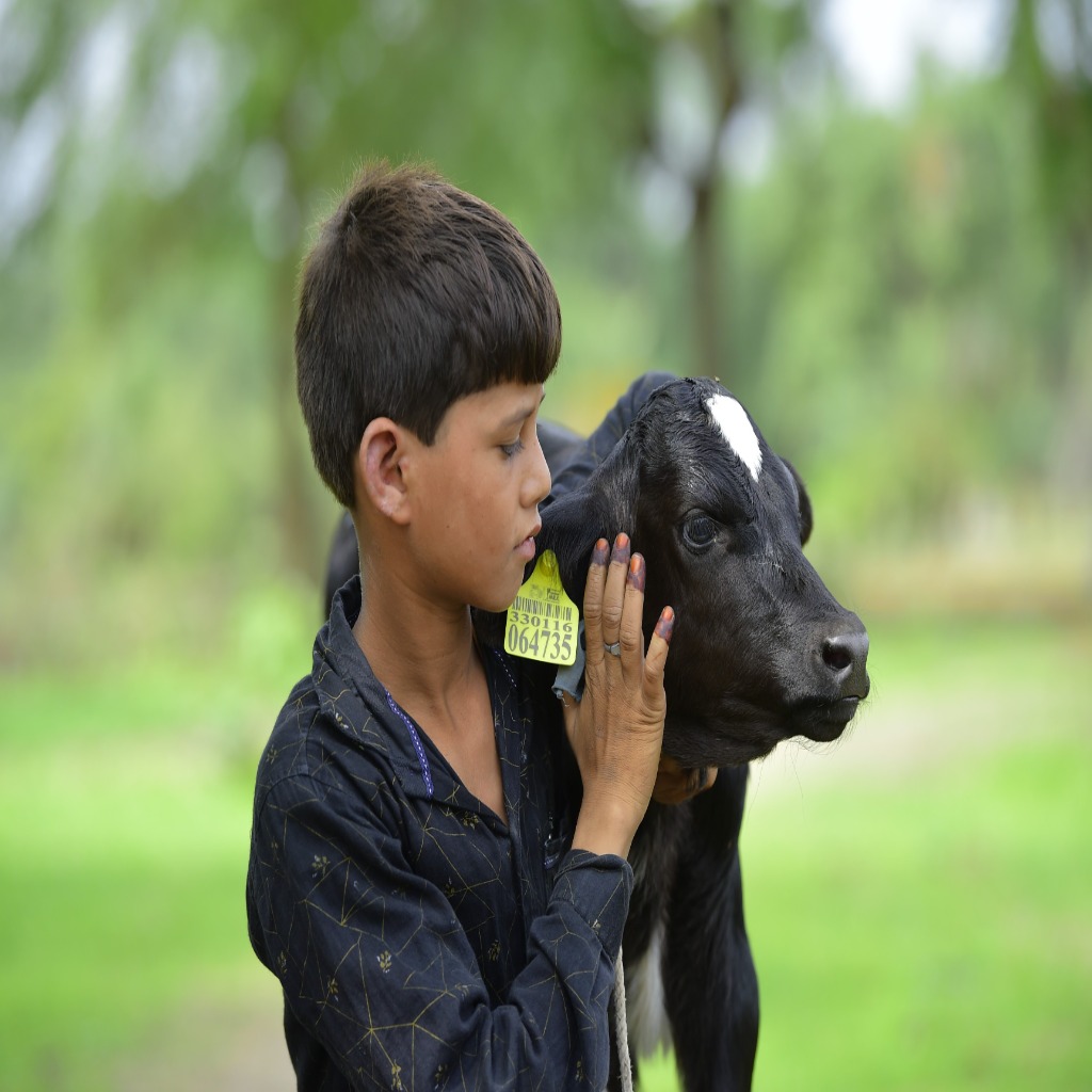 profile-img
